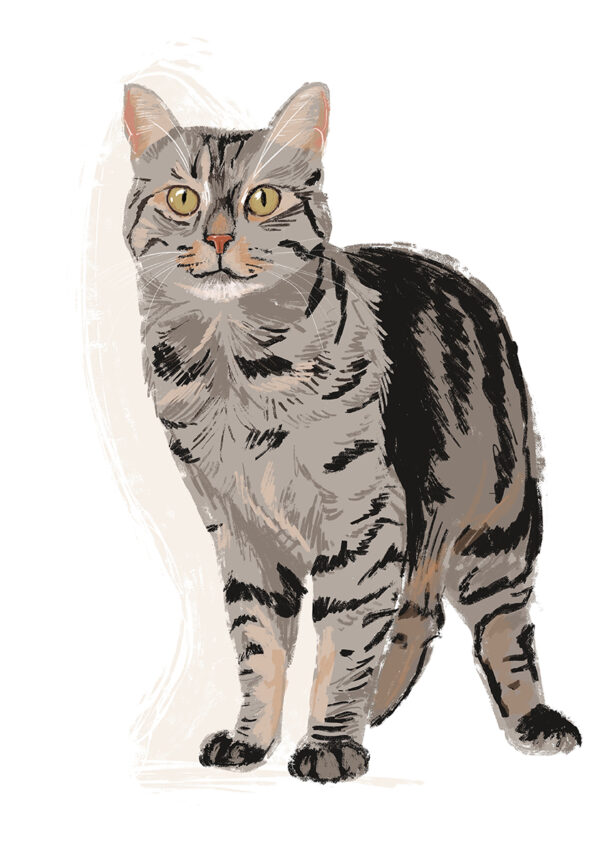 Portrait digital de luxe – Image 7